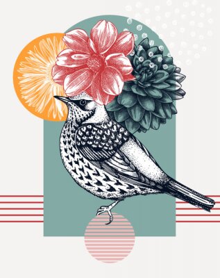 Bild Hand-sketched  Fieldfare vector illustration. Perching bird with autumn flowers. Collage style illustration with florals, geometric shapes, and abstract elements. 