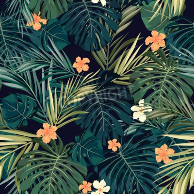 Bild Hawaii Motiv mit Natur