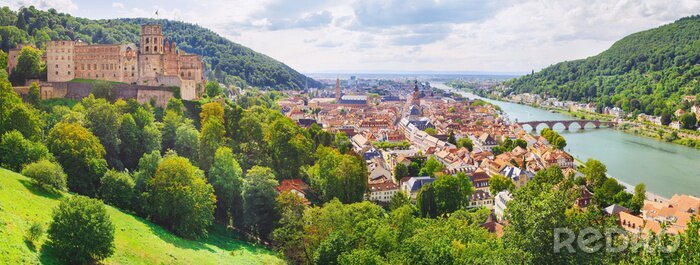 Bild Heidelberg im Sommer