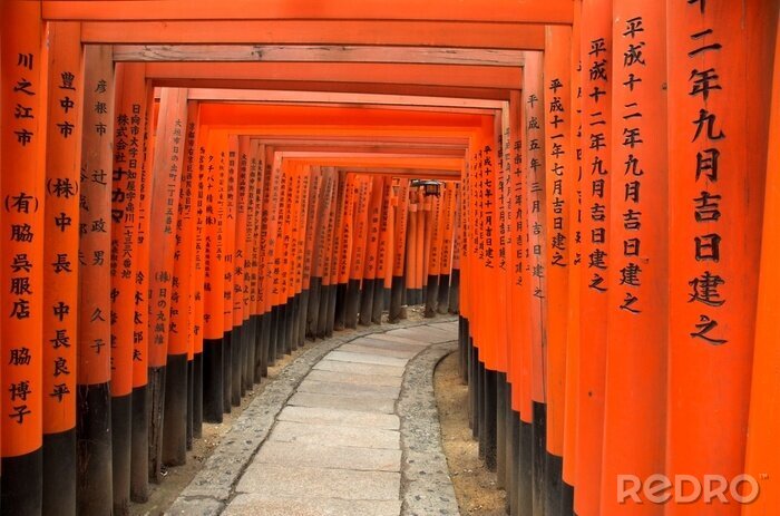 Bild Heiligtum von Kyoto