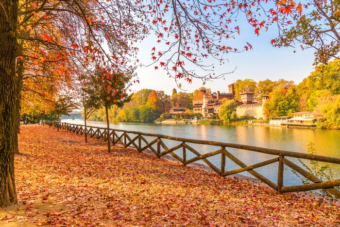 Bild Herbst am See im Park