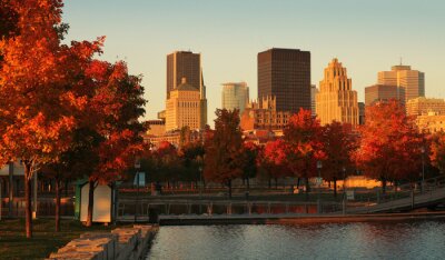 Bild Herbst in der amerikanischen Stadt