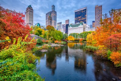 Bild Herbst in New York City