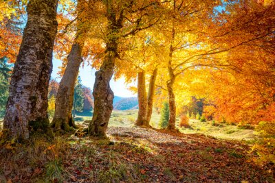 Herbstfarben in den Bergen