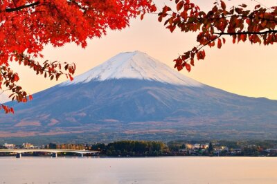 Bild Herbstlandschaft des Fuji-Berges