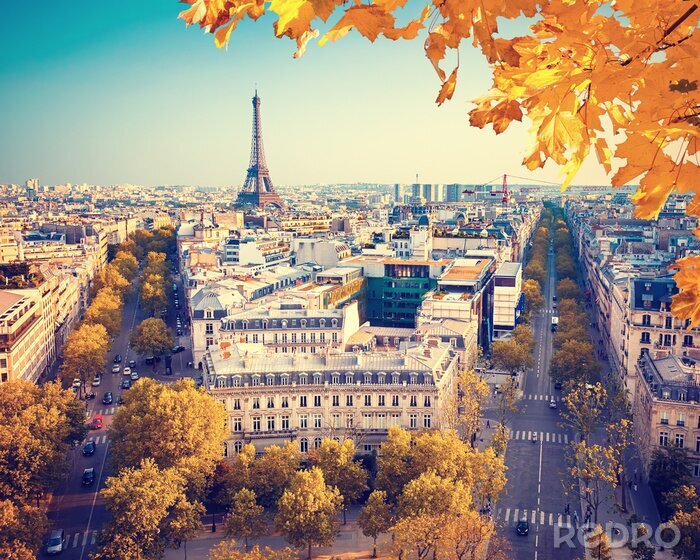 Bild Herbstlandschaft von Paris
