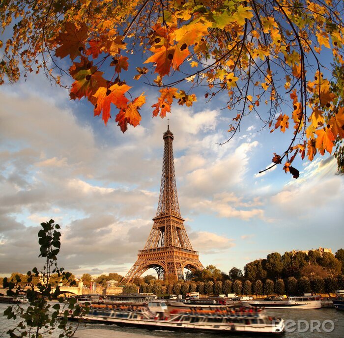 Bild Herbstliche Blätter im Herbst in Paris