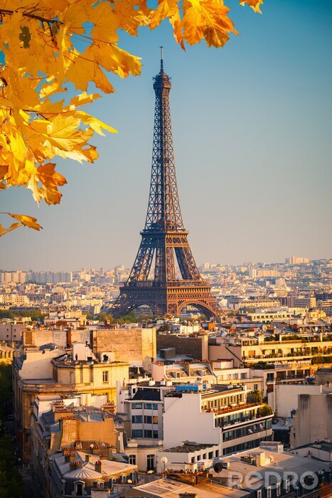 Bild Herbstliche Blätter in Paris