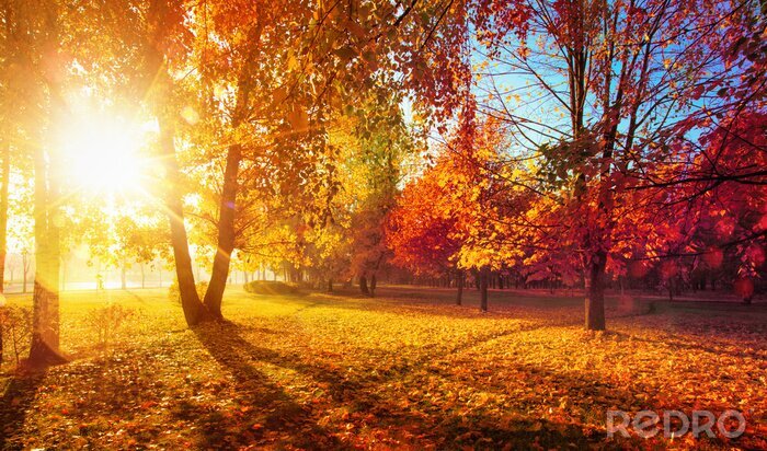 Bild Herbstliche Landschaft