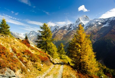 Bild Herbstliche Landschaft der Berggipfel