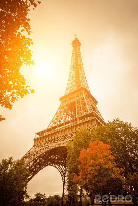 Bild Herbstliches Paris