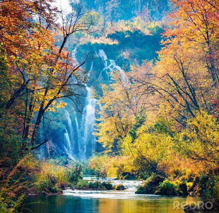 Bild Herbstwald und Wasserfall