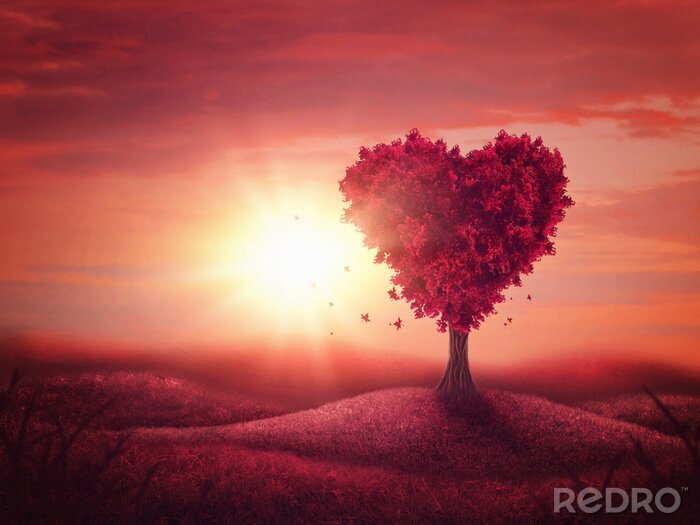 Bild Herz Liebe Baum