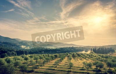 Bild Himmel über Toskana
