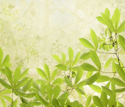 Hintergrund mit grüner Natur