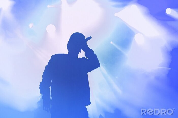 Bild Hip-Hop-Sänger