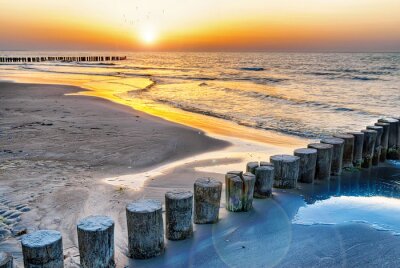 Hölzerner Wellenbrecher am Meer