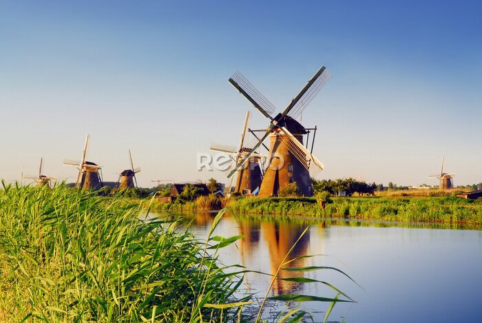 Bild Holländische Landschaft mit Windmühlen