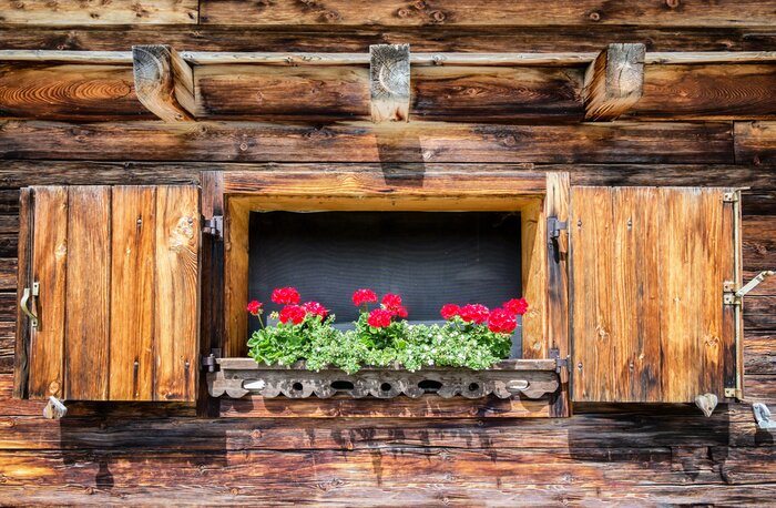 Bild Holzfenster mit blumen