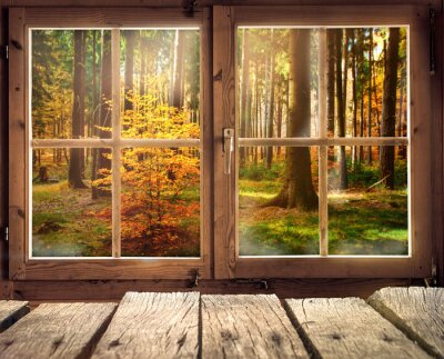 Holzhütte mit Ausblick auf einen Herbstwald