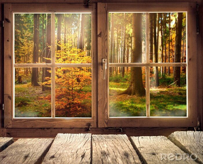 Bild Holzhütte mit Ausblick auf einen Herbstwald