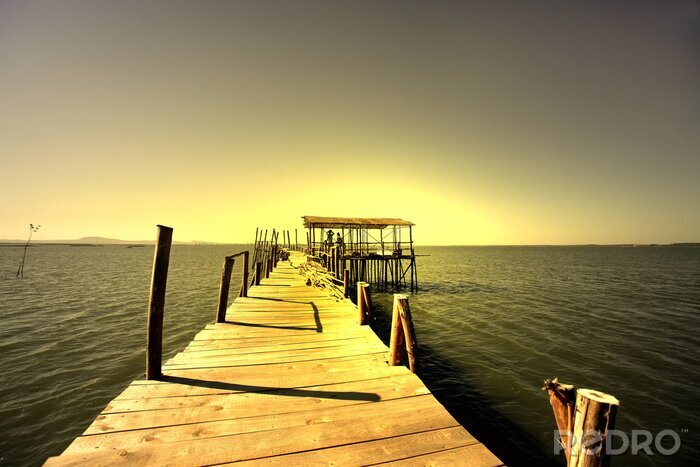 Bild Holzsteg am Meer