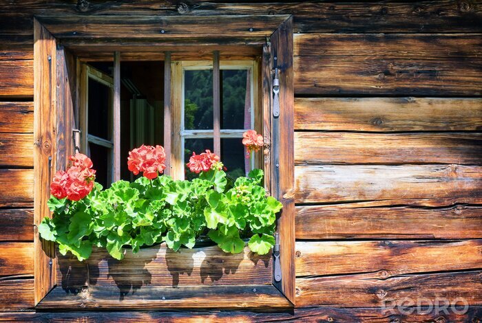 Bild Horizontale bretter am fenster