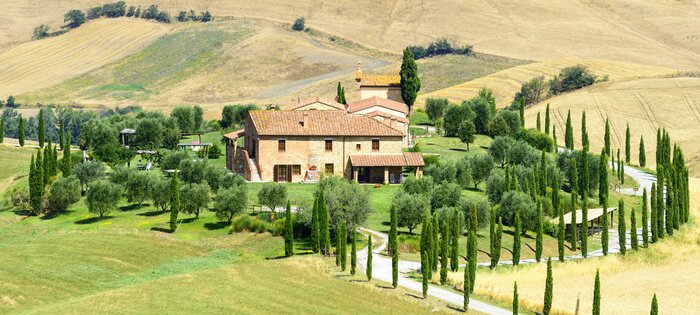 Bild Hügel der Toskana