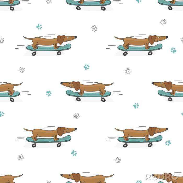 Bild Hunde beim Skateboardfahren