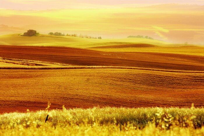 Bild Idyllische Ansicht der Toskana
