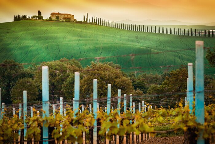 Bild Idyllische toskanische Landschaft