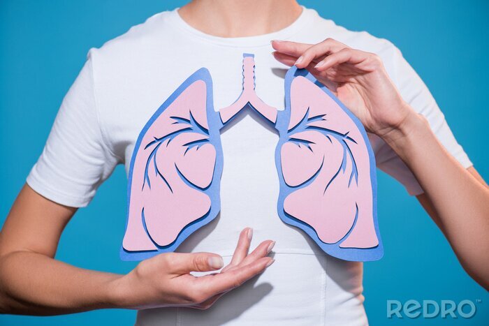 Bild Illustration einer gesunden Lunge