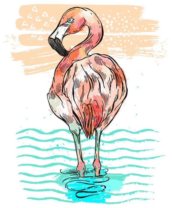 Bild Illustration mit Flamingo