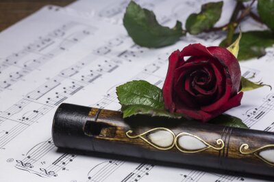 Bild Instrument dekorative Flöte auf Noten