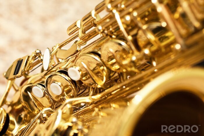 Bild Instrument in Vergrößerung Saxophon-Knöpfe