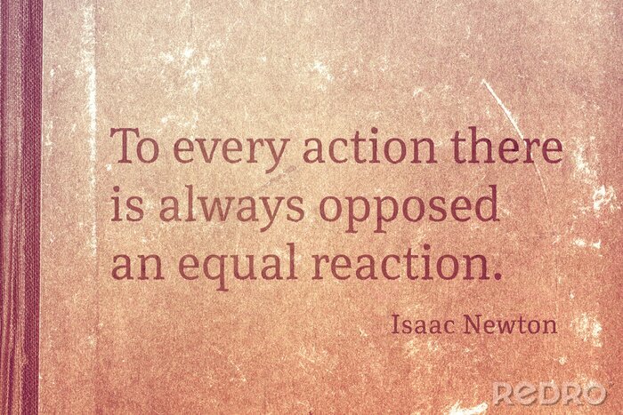 Bild Isaac Newton Zitate