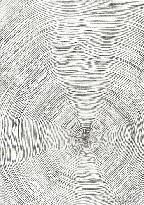 Bild Jahresringe auf gefälltem Baumstamm