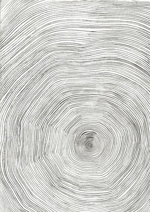 Bild Jahresringe auf gefälltem Baumstamm