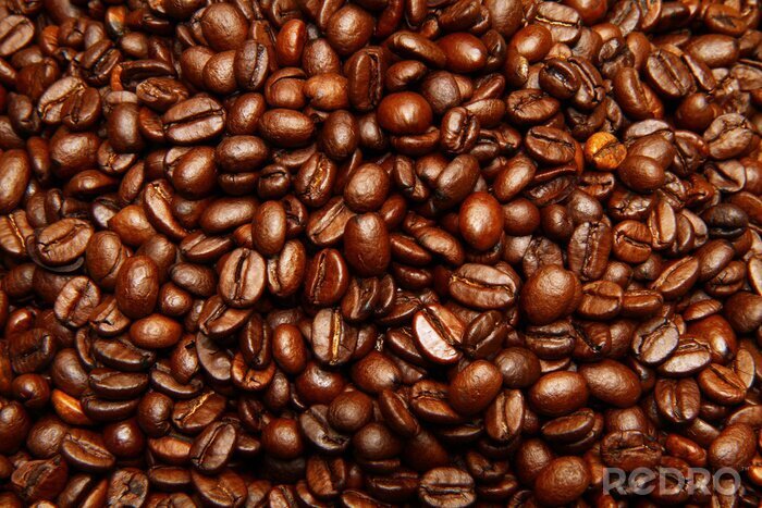 Bild Kaffee Bohnen Hintergrund