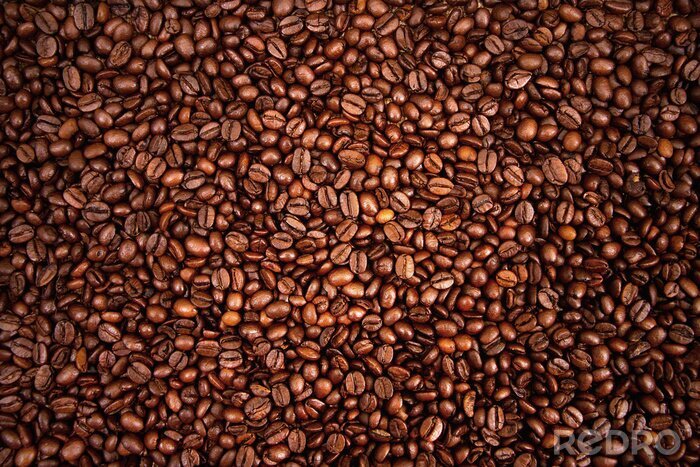 Bild Kaffeebohnen Hintergrund