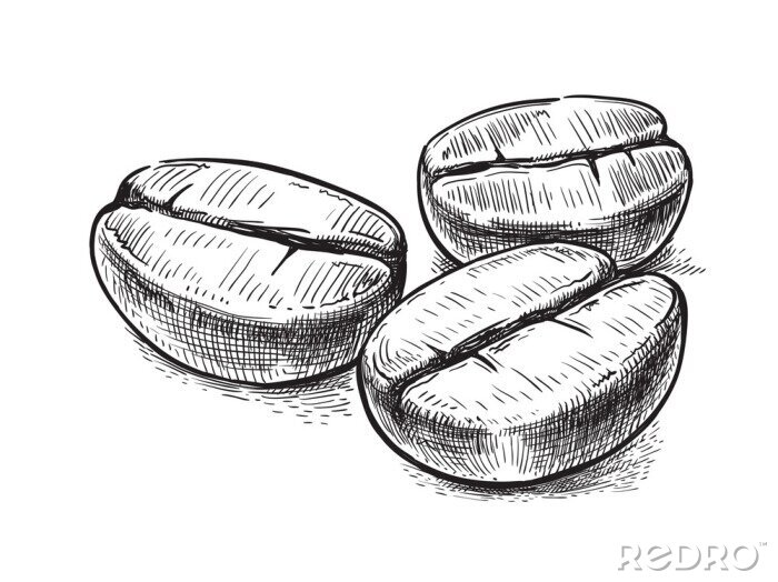 Bild Kaffeebohnen mit schwarzer Tinte gefertigte Zeichnung