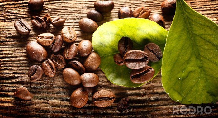 Bild Kaffeebohnen und Blätter