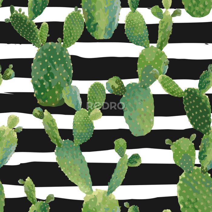 Bild Kakteen auf einem schwarz-weißen gestreiften Hintergrund