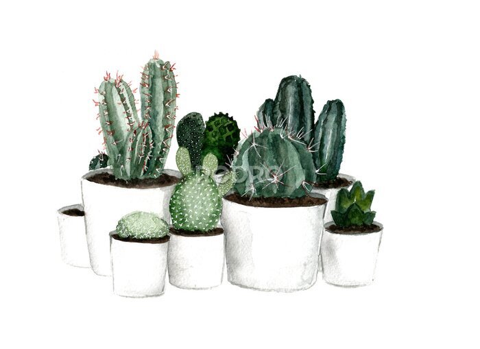 Bild Kaktus im Topf verschiedene Arten mit Aquarellfarben gemalt