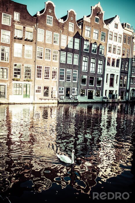 Bild Kanal und Gebäude in Amsterdam