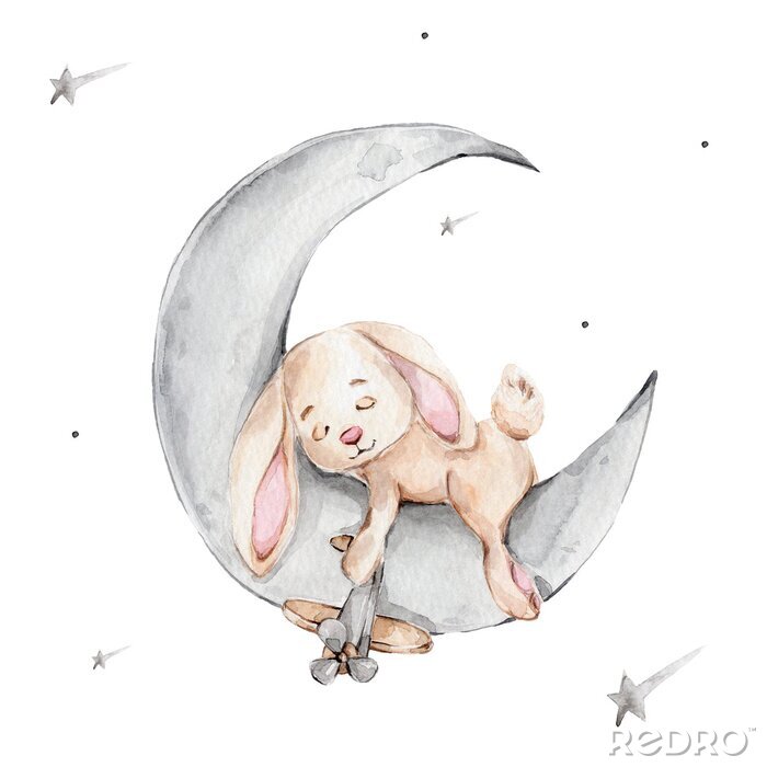 Bild Kaninchen schläft auf einem grauen Mond