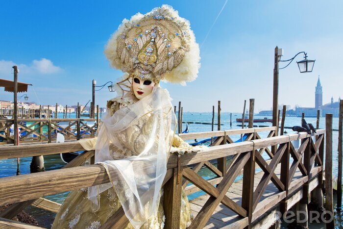 Bild Karneval von Venedig