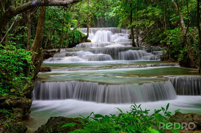 Bild Kaskadenwasserfall im Regenwald