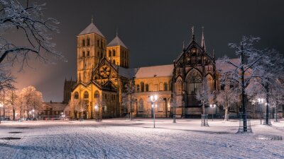 Bild Kathedrale in Münster im Winter