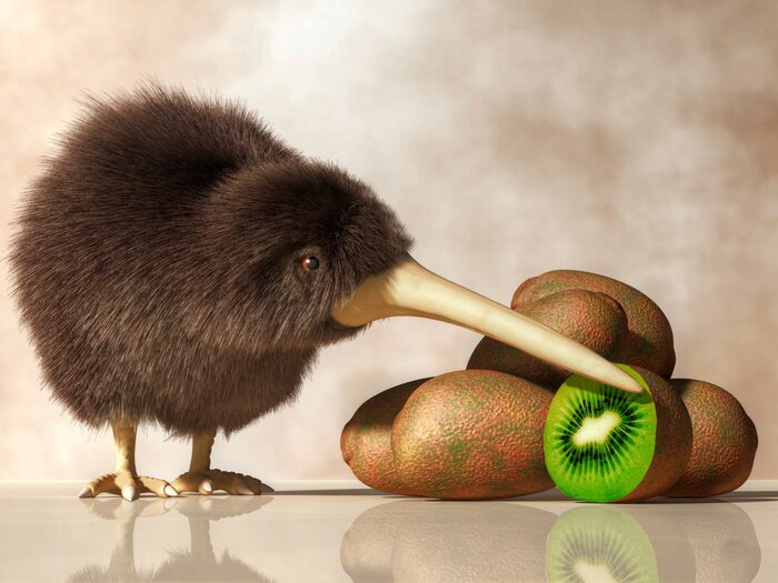 Bild Kiwi-Vogel neben Obst